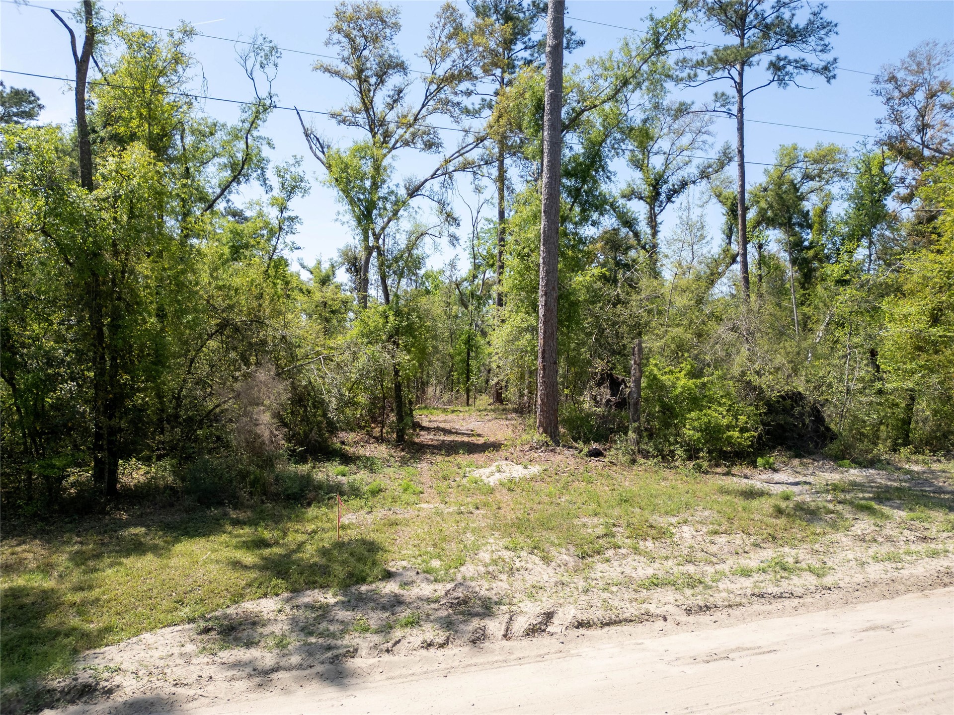 0 Southwest 77th Terrace Jasper, FL 32052 - Photo 2 of 13 a view of a yard with plants