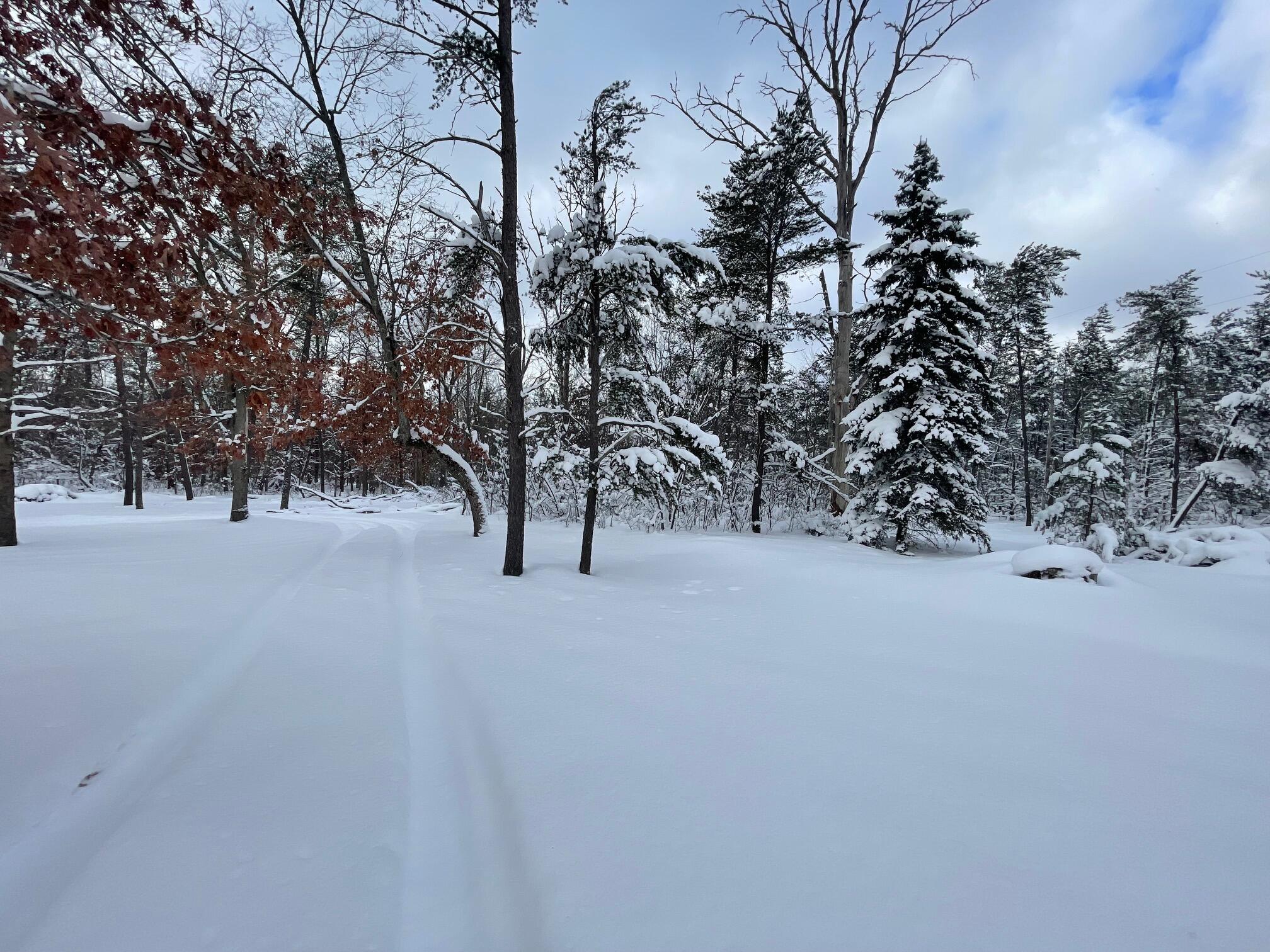 5102 West 4 Mile Road Irons, MI 49644 - Photo 31 of 35 IMG_9655