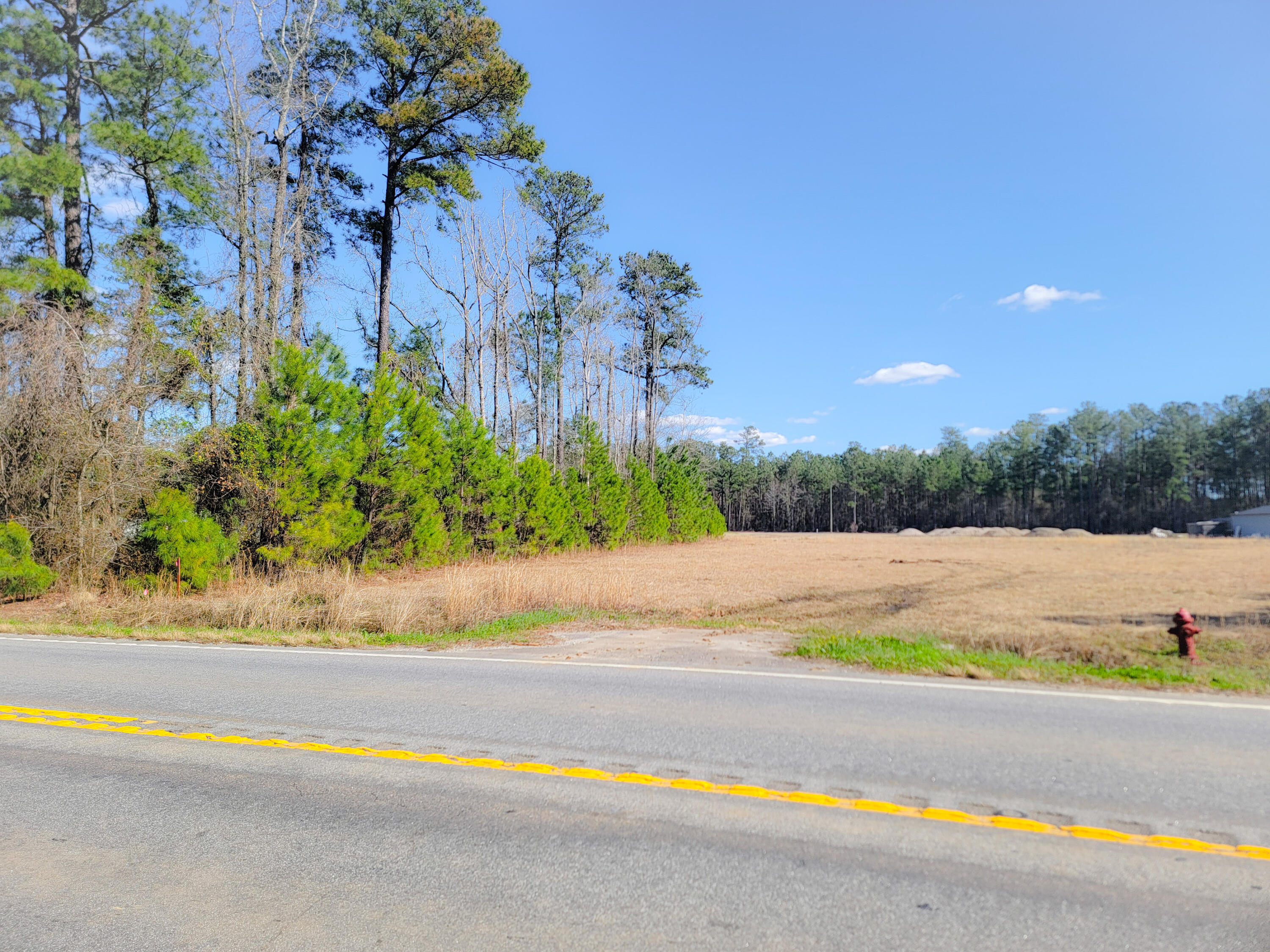 1374 Jedburg Road Summerville, SC 29486 - Photo 4 of 11 Greene 1374 Jedburg Rd Pic 2 022426
