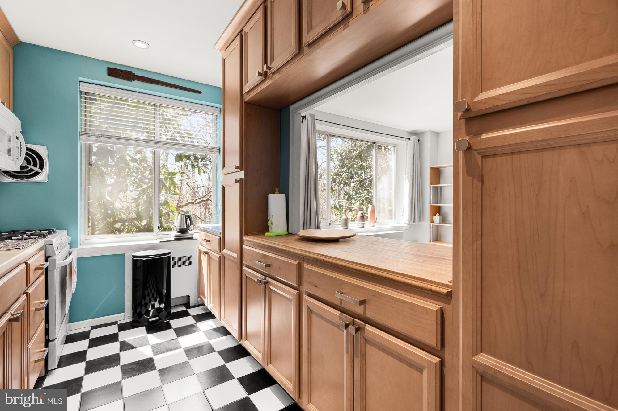 4100 W Street Northwest, Unit 314 Washington, DC 20007 - Photo 13 of 30 Beautiful cabinets