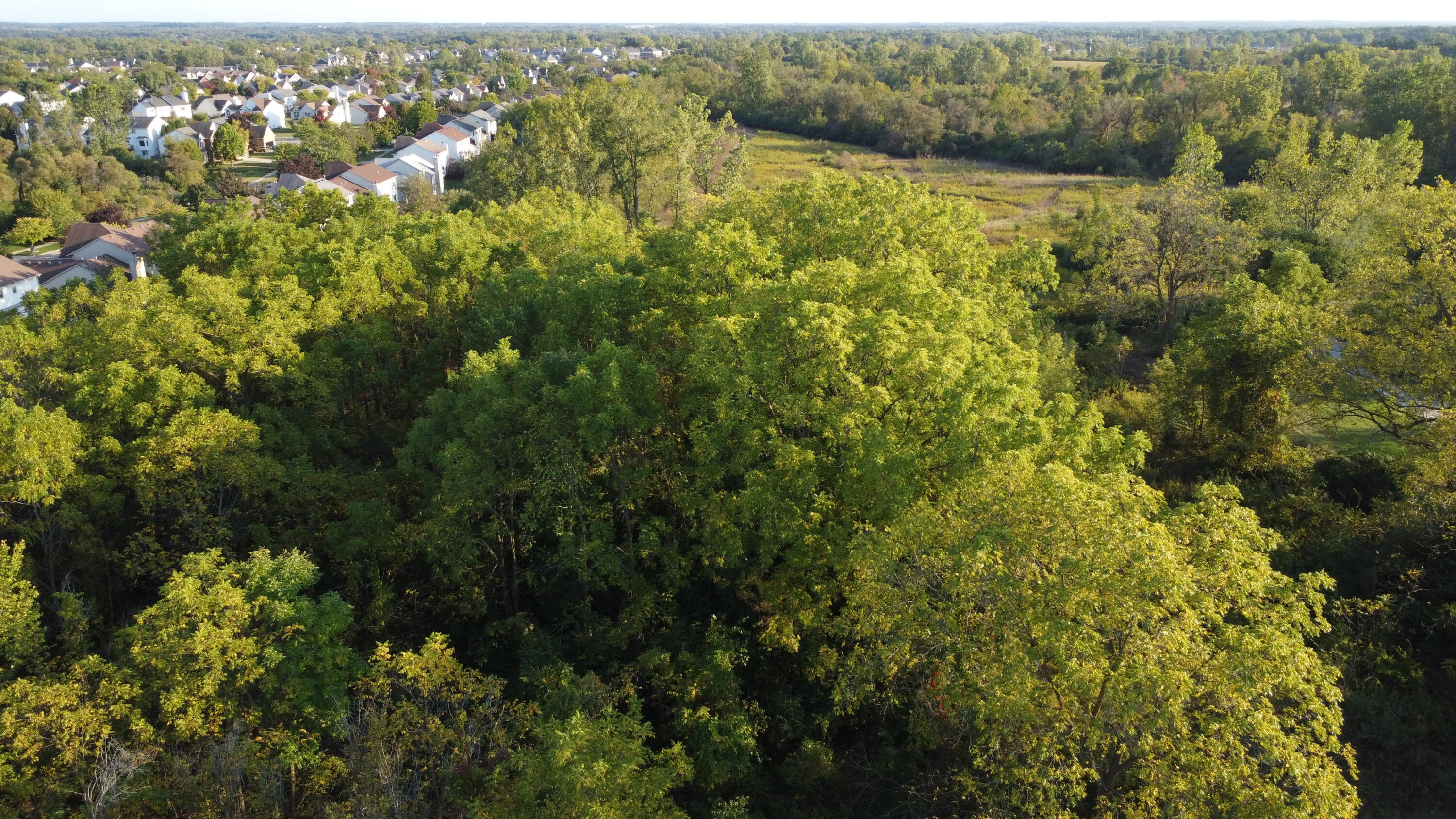 2485 West Waters Road Ann Arbor, MI 48103 - Photo 8 of 11 DJI_0007