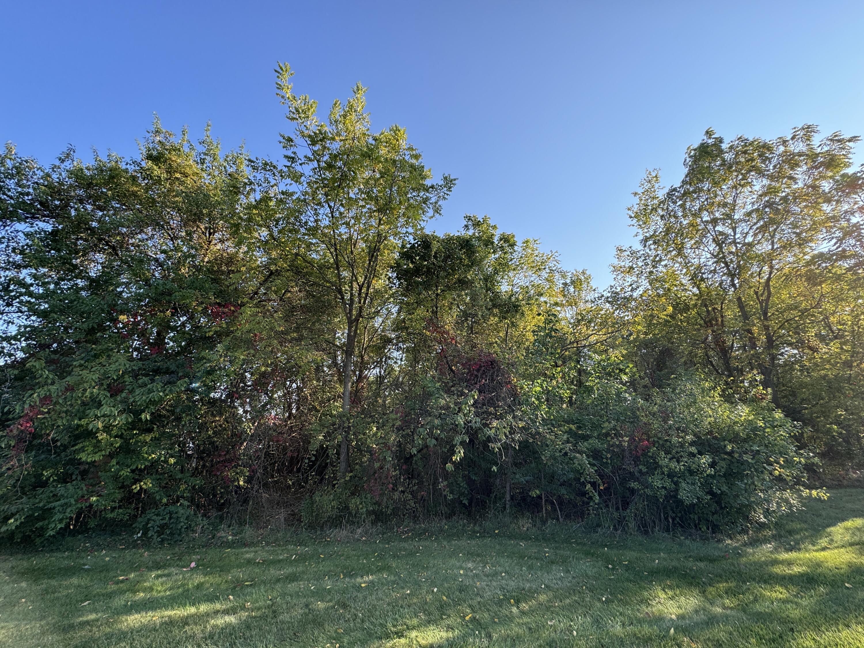 2485 West Waters Road Ann Arbor, MI 48103 - Photo 10 of 11 IMG_6332