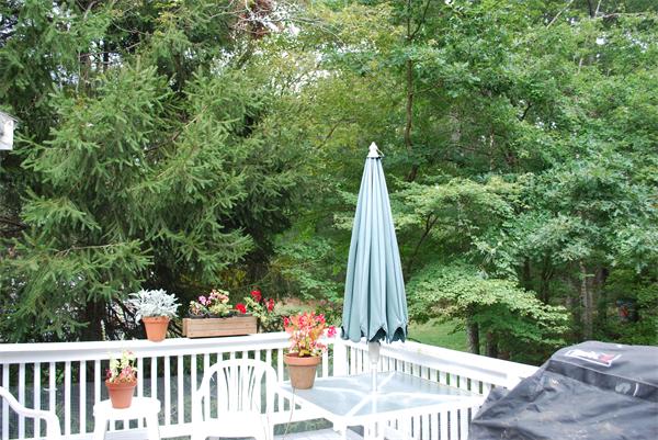 142 Alder Road Westwood, MA 02090 - Photo 10 of 13 a view of a chair with a small yard and plants