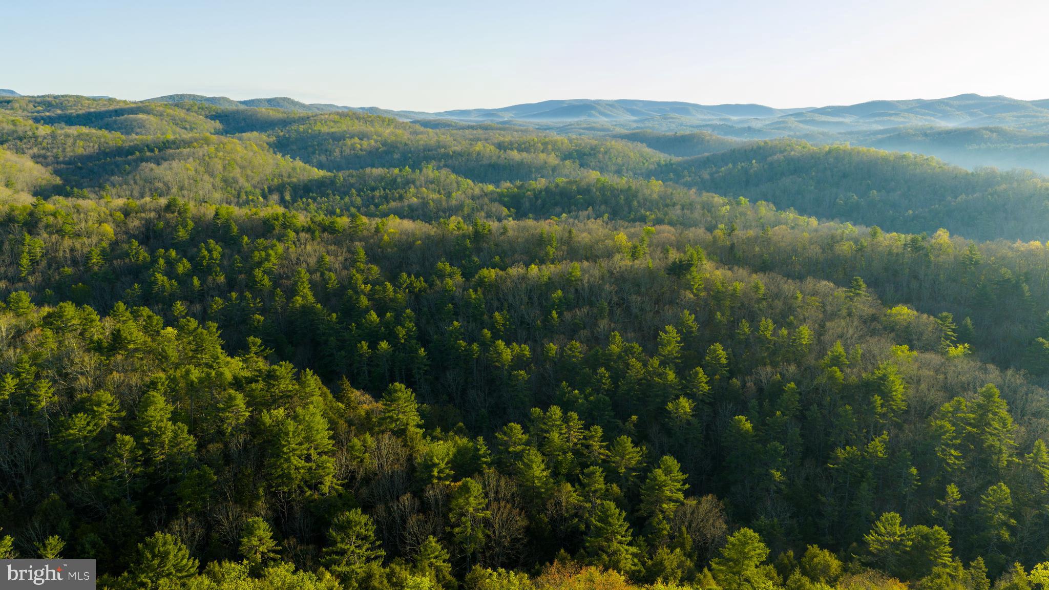 199 Green Bank Road Arbovale, WV 24915 - Photo 64 of 113