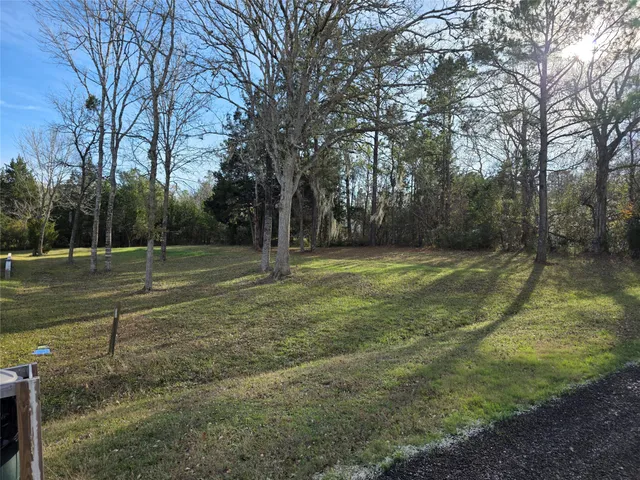 a view of a tennis ground with large trees