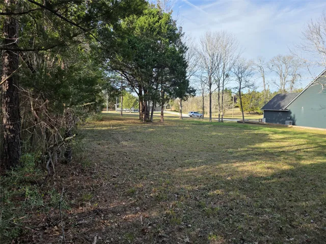 a view of a yard with a trees