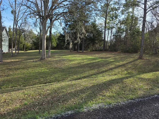 a view of a field with trees