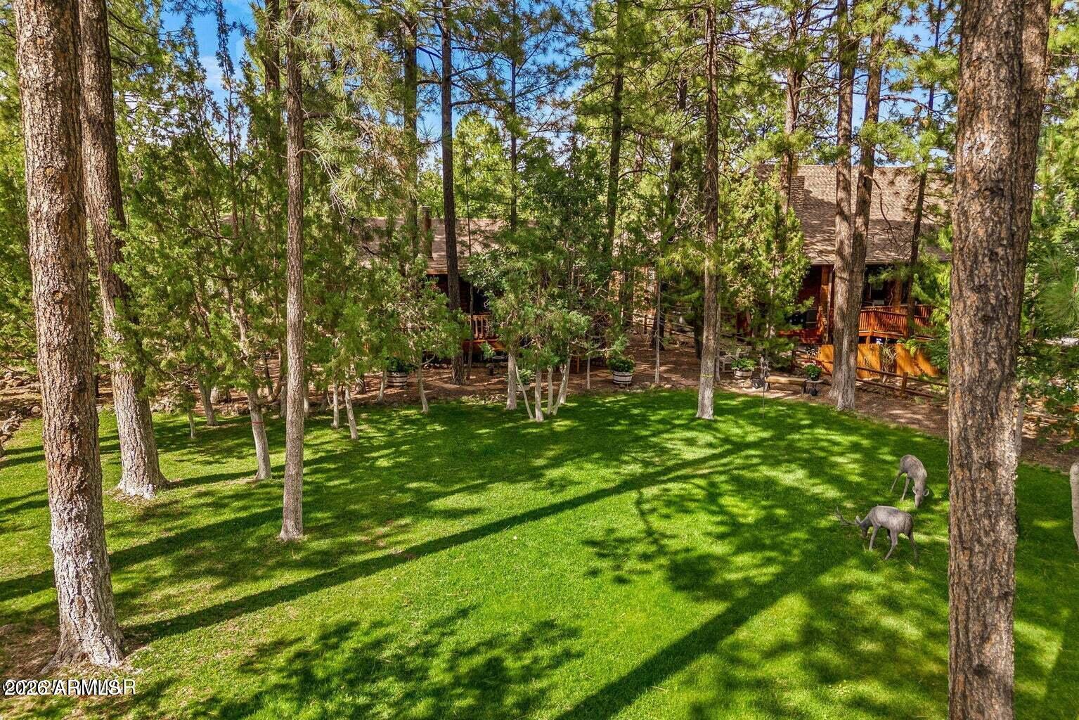 2253 East Ridge Drive Pinetop, AZ 85935 - Photo 17 of 27 17