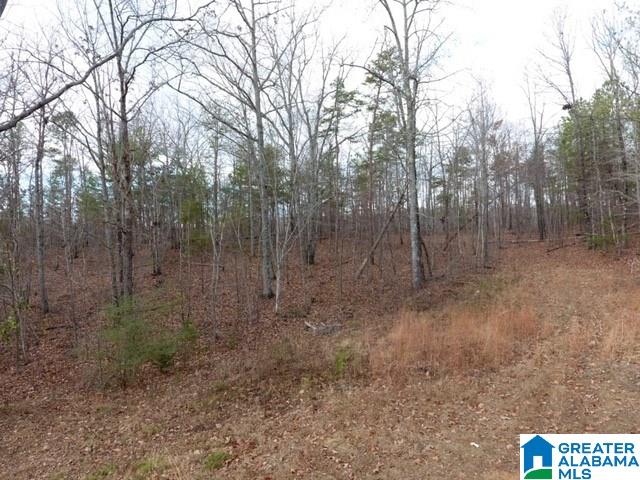 8730 Pine Mountain Road Pinson, AL 35126 - Photo 5 of 5