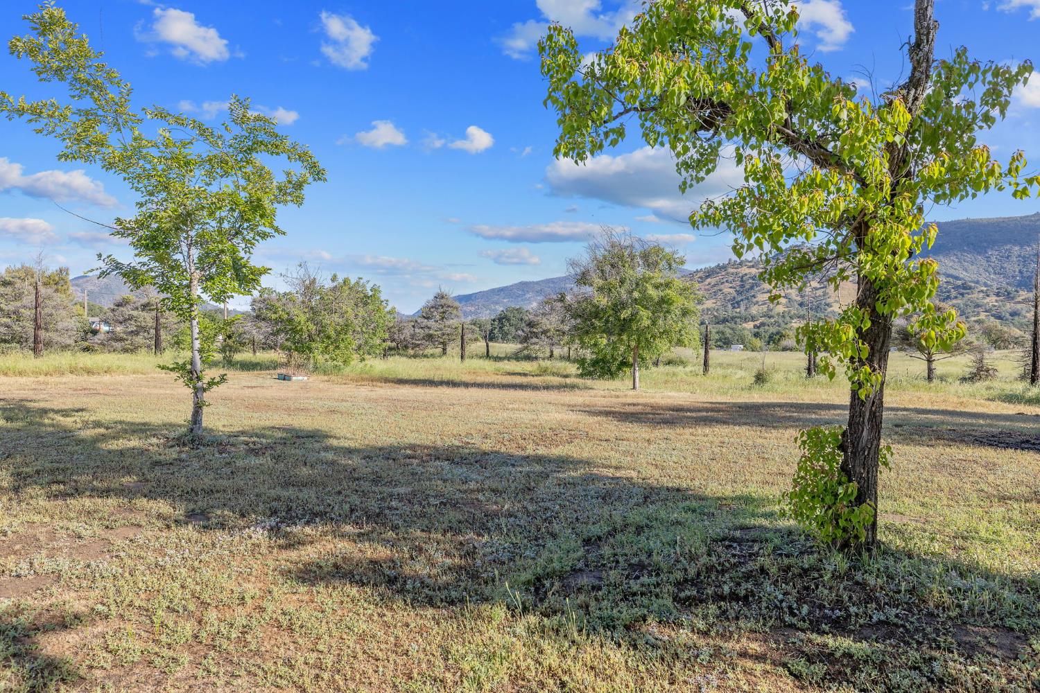 29478 Fallen Oak Road Tollhouse, CA 93667 - Photo 3 of 62