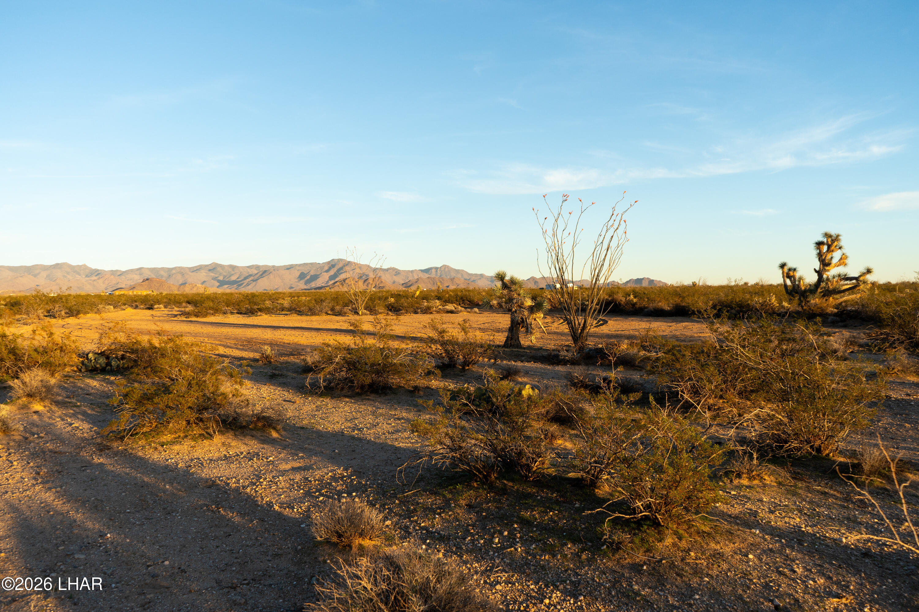 Lot 67 South Cameron Road Yucca, AZ 86438 - Photo 12 of 12 DSC02981