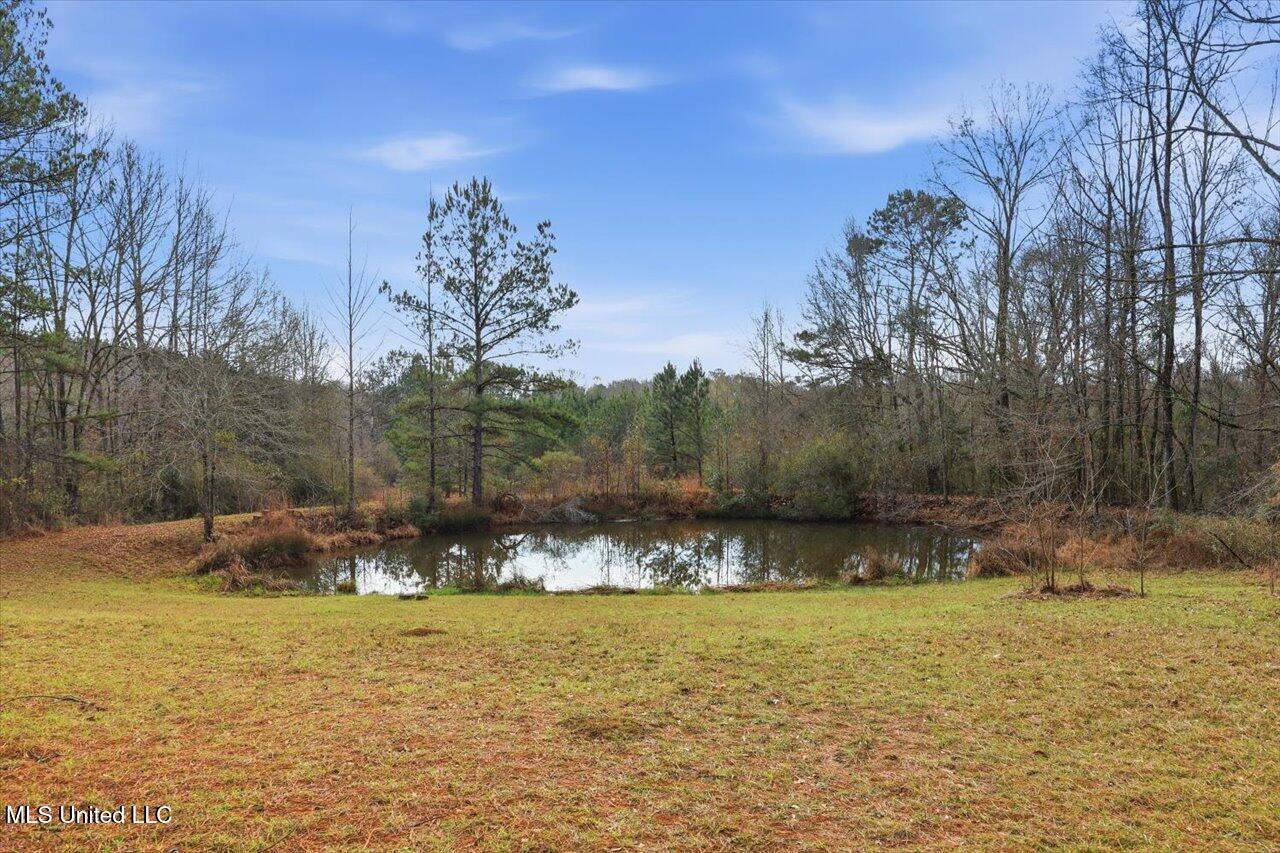 11040 Highway 472 Hazlehurst, MS 39083 - Photo 29 of 68 31-11040 MS-472 _ Home Tours MS