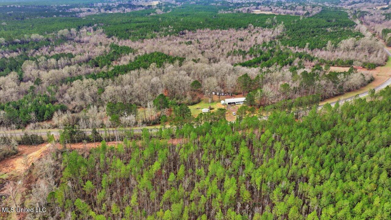 11040 Highway 472 Hazlehurst, MS 39083 - Photo 31 of 68 33-11040 MS-472 _ Home Tours MS