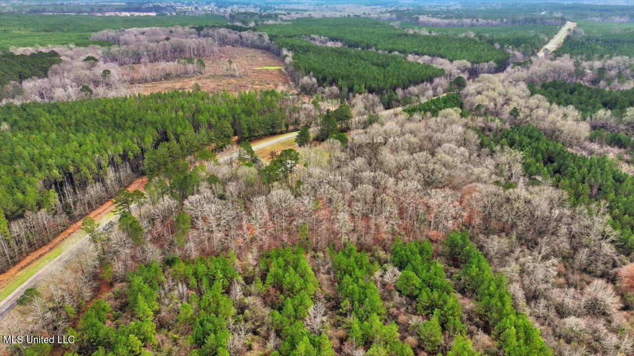 11040 Highway 472 Hazlehurst, MS 39083 - Photo 35 of 68 37-11040 MS-472 _ Home Tours MS