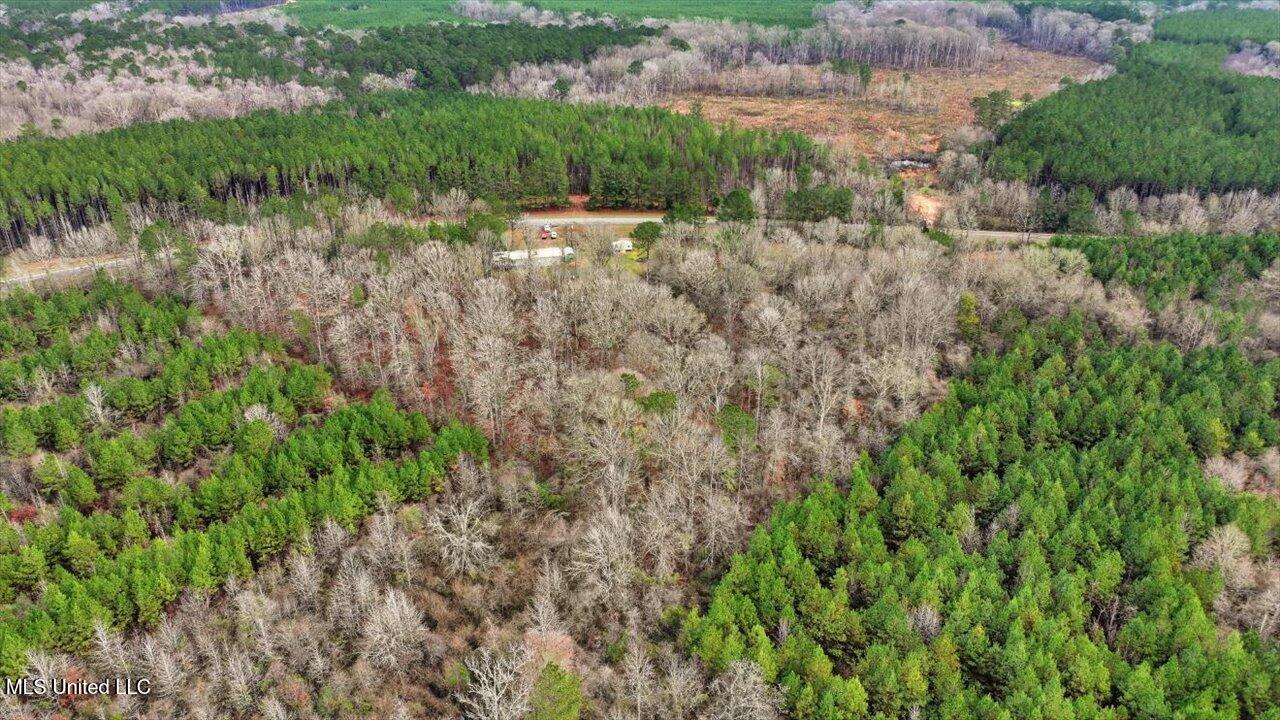 11040 Highway 472 Hazlehurst, MS 39083 - Photo 36 of 68 38-11040 MS-472 _ Home Tours MS