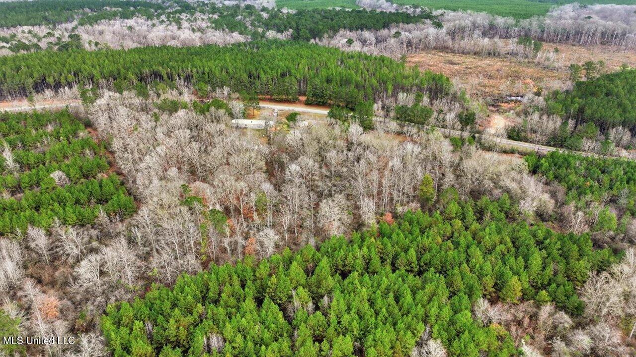 11040 Highway 472 Hazlehurst, MS 39083 - Photo 37 of 68 39-11040 MS-472 _ Home Tours MS