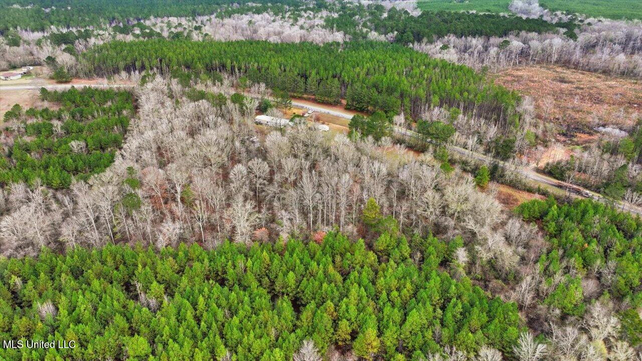 11040 Highway 472 Hazlehurst, MS 39083 - Photo 38 of 68 40-11040 MS-472 _ Home Tours MS