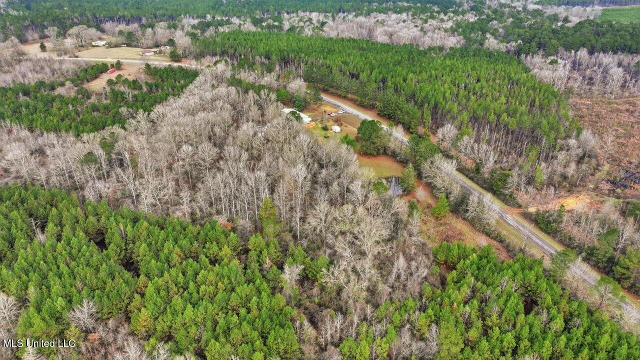 11040 Highway 472 Hazlehurst, MS 39083 - Photo 39 of 68 41-11040 MS-472 _ Home Tours MS