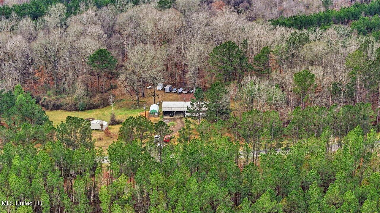 11040 Highway 472 Hazlehurst, MS 39083 - Photo 46 of 68 48-11040 MS-472 _ Home Tours MS