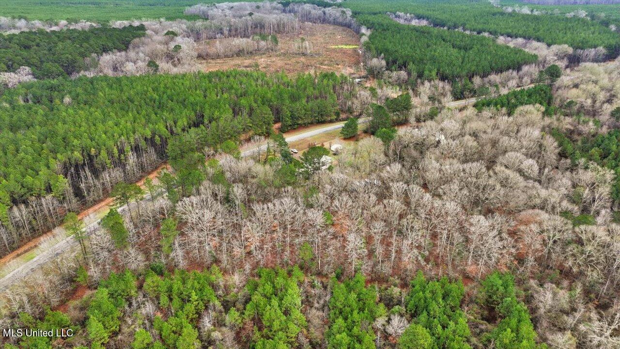 11040 Highway 472 Hazlehurst, MS 39083 - Photo 50 of 68 52-11040 MS-472 _ Home Tours MS