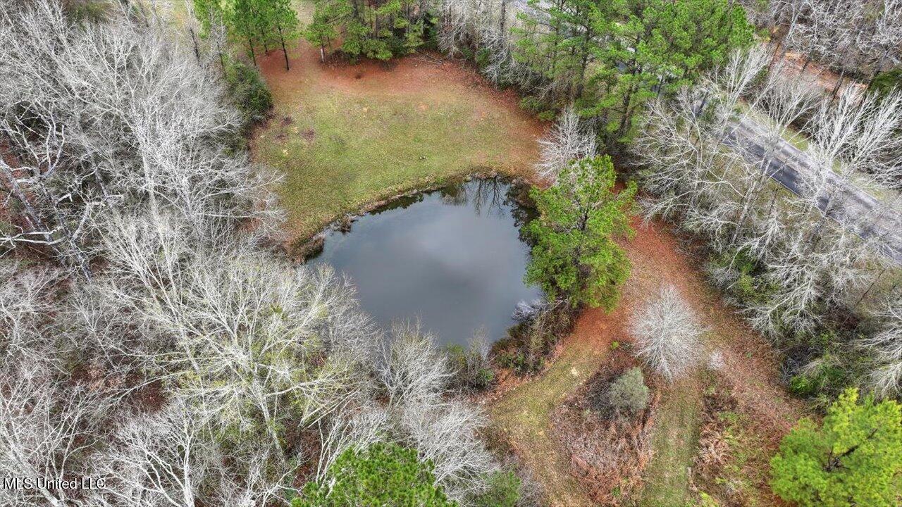 11040 Highway 472 Hazlehurst, MS 39083 - Photo 59 of 68 61-11040 MS-472 _ Home Tours MS