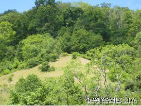B B Yonaguska Ridge Clyde, NC 28721 - Photo 3 of 3 a view of a yard