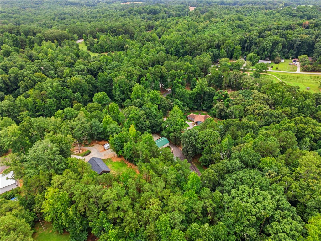 641 Lands End Road Seneca, SC 29678 - Photo 37 of 39 Vast green foliage surrounds this secluded property, offering ultimate privacy and a serene natural setting.