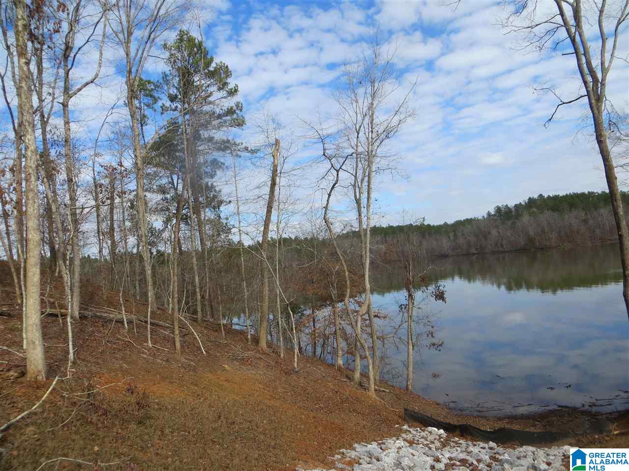 Lot 5 Eagle Mountain Road, Unit 5 Alexander City, AL 35010 - Photo 4 of 7