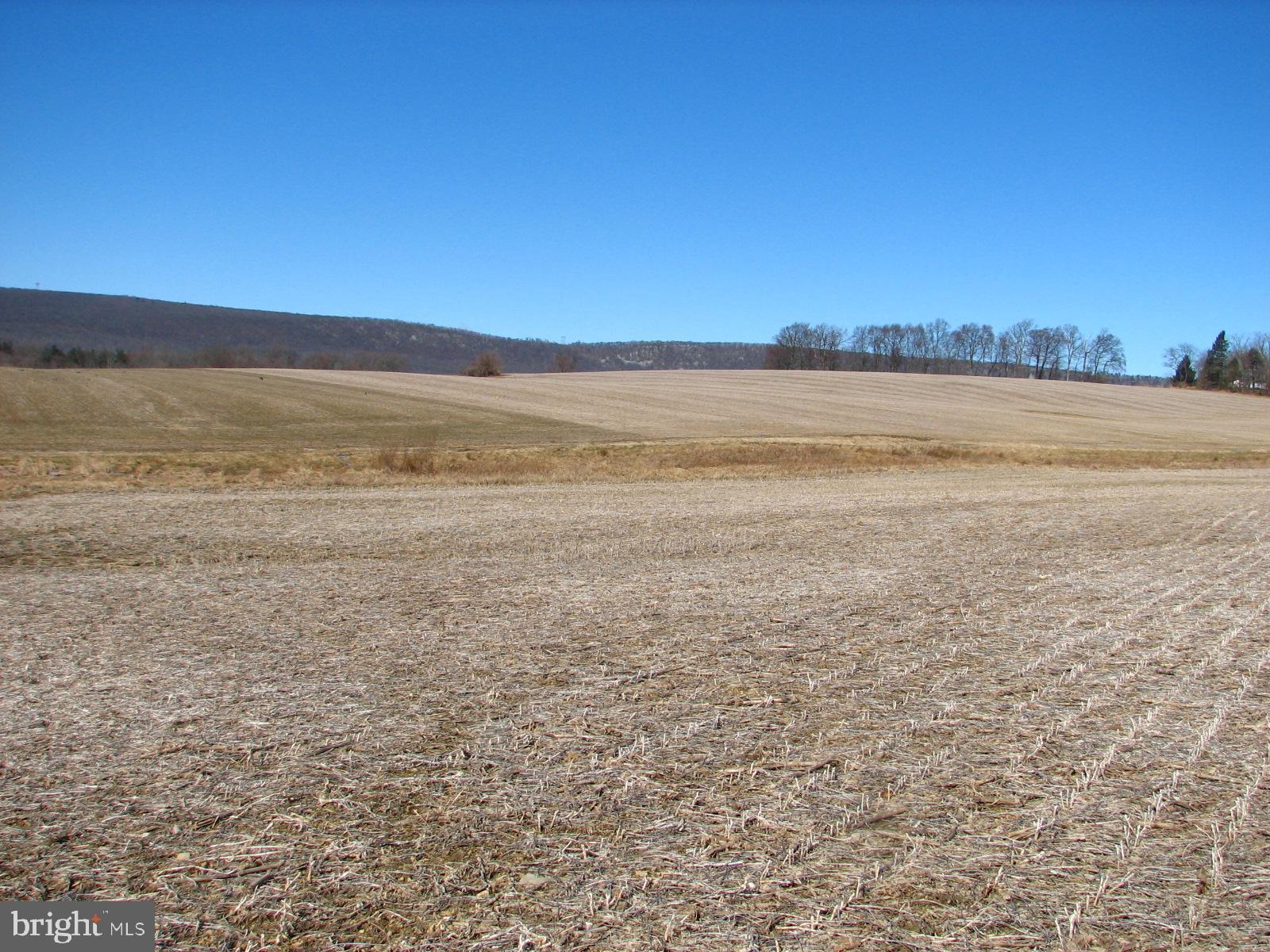 309 Route, New Tripoli, PA 18066 Compass