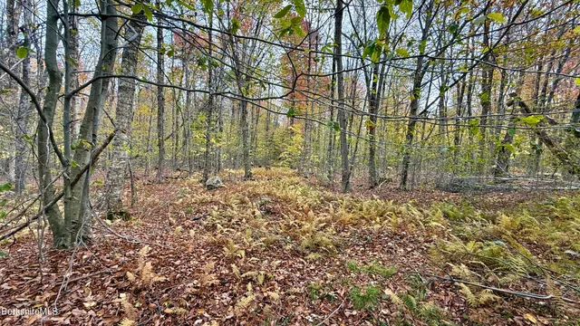 a view of outdoor space and garden