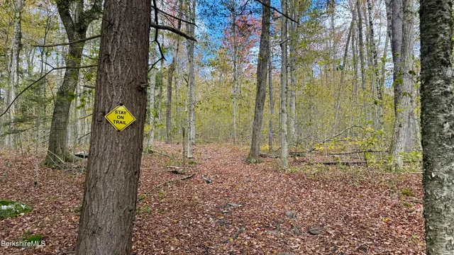 a view of a street with a yard