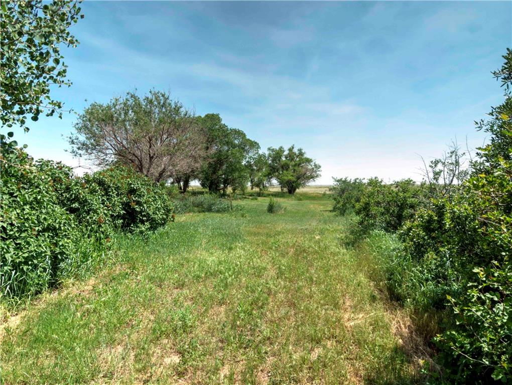 40550 Funk Road Ramah, CO 80832 - Photo 6 of 35