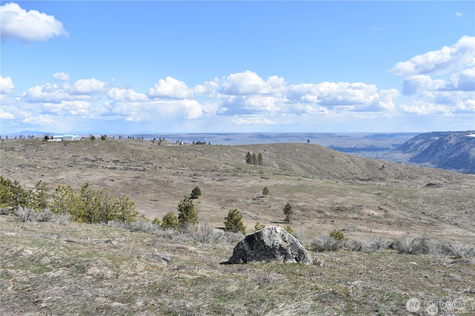 284 Harmony Heights Road Brewster, WA 98812 - Photo 3 of 5 a view of a dry yard with lots of trees