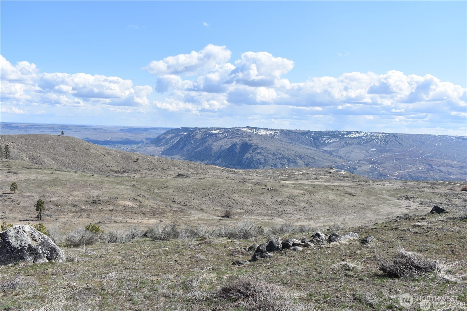 284 Harmony Heights Road Brewster, WA 98812 - Photo 4 of 5 a view of a dry yard with trees
