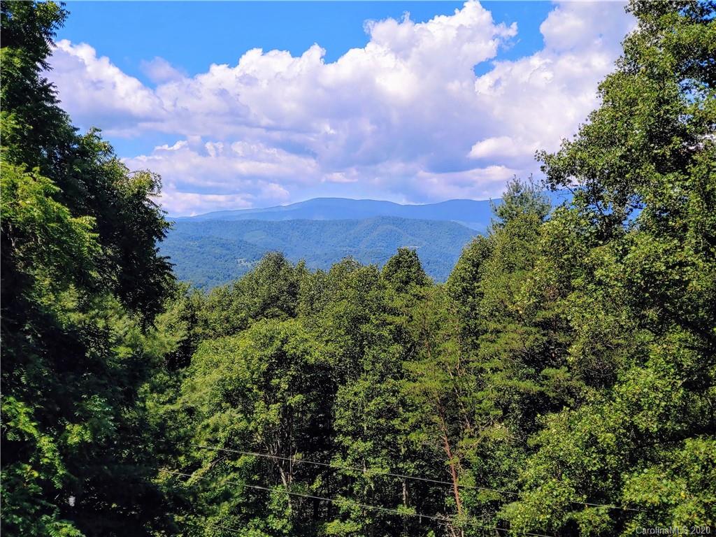 889 Van Arrington Road Clyde, NC 28721 - Photo 3 of 48
