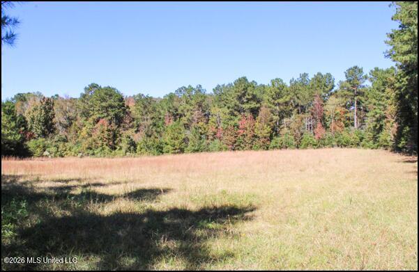 4056 Gibson Road McComb, MS 39648 - Photo 3 of 21 Screenshot 2026-05-26 143428