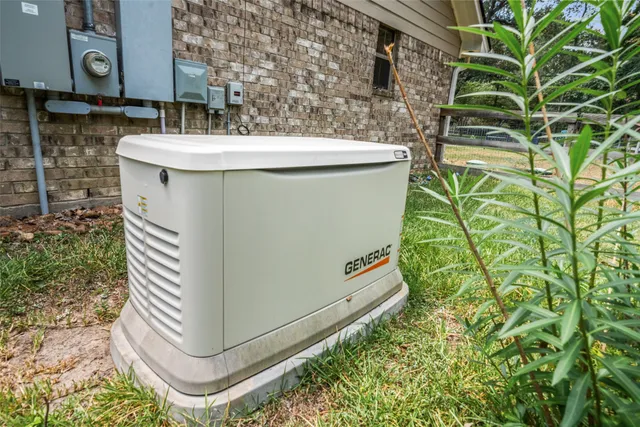 a view of a backyard with plants