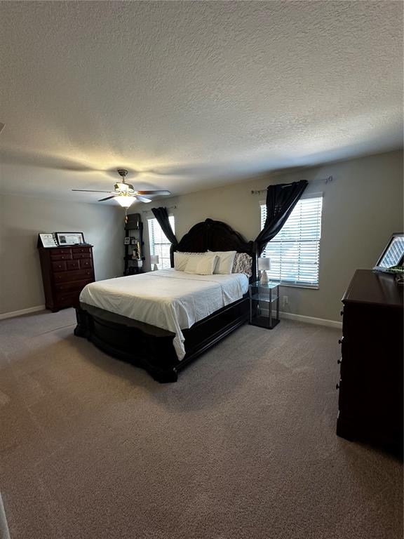 17338 Old Tobacco Road Lutz, FL 33558 - Photo 13 of 21