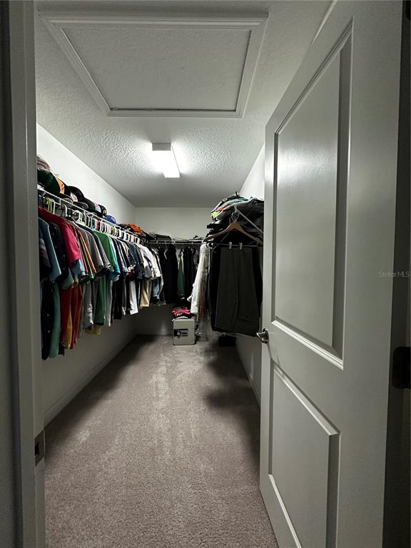 17338 Old Tobacco Road Lutz, FL 33558 - Photo 16 of 21