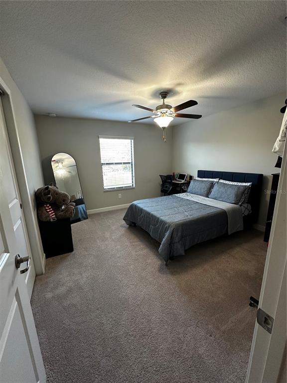 17338 Old Tobacco Road Lutz, FL 33558 - Photo 19 of 21