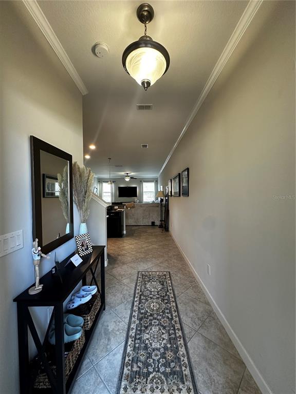 17338 Old Tobacco Road Lutz, FL 33558 - Photo 3 of 21