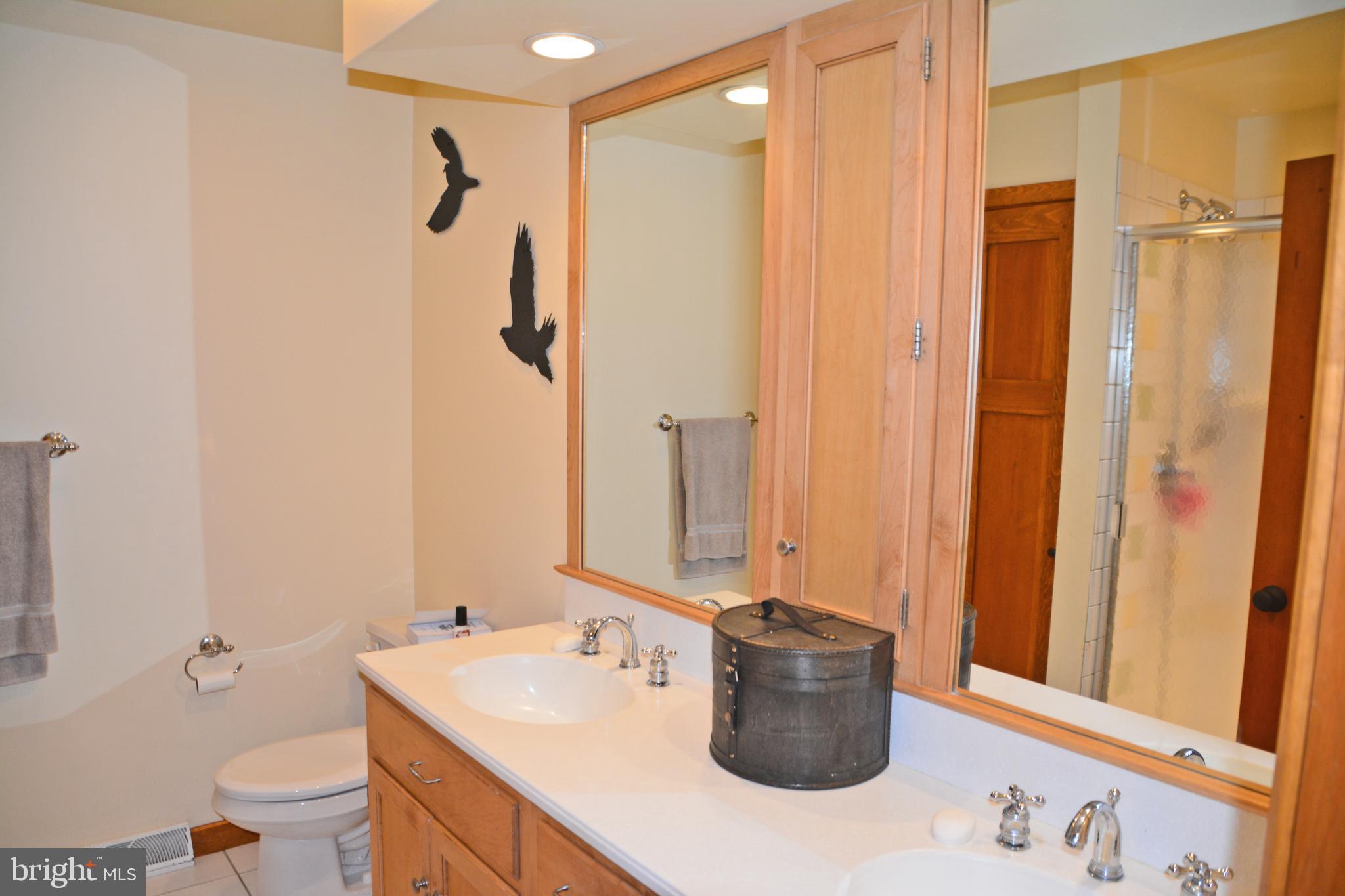 1332 Hillcrest Road Lancaster, PA 17603 - Photo 18 of 41 First Floor Ensuite Bath