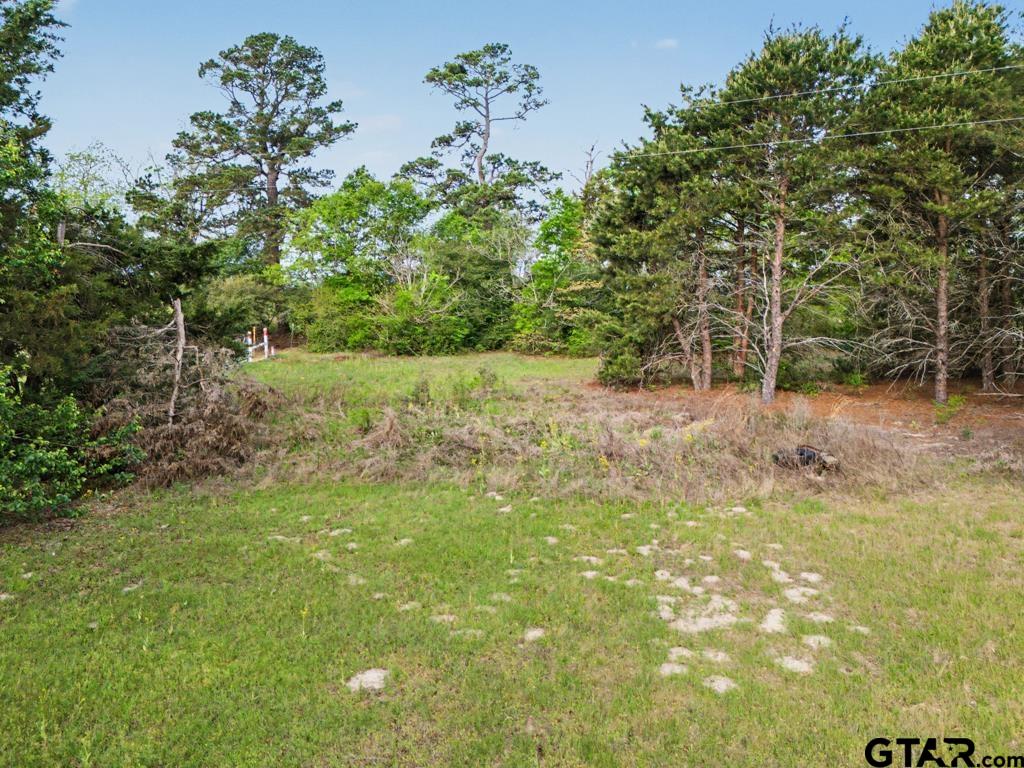 219 Evergreen Road Gilmer, TX 75645 - Photo 28 of 44