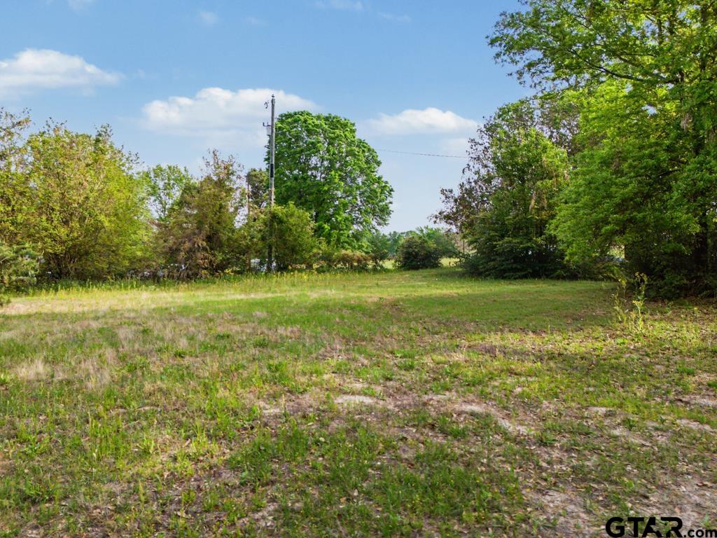 219 Evergreen Road Gilmer, TX 75645 - Photo 29 of 44