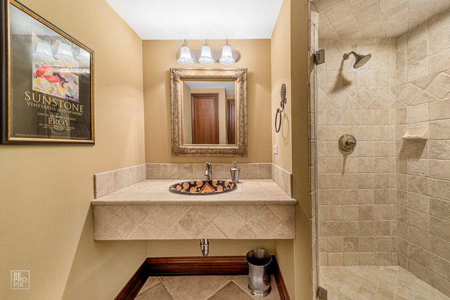 820 Hastings Street Park Ridge, IL 60068 - Photo 37 of 46