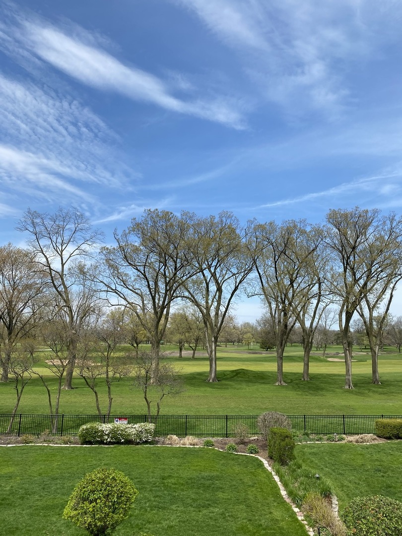 820 Hastings Street Park Ridge, IL 60068 - Photo 41 of 46