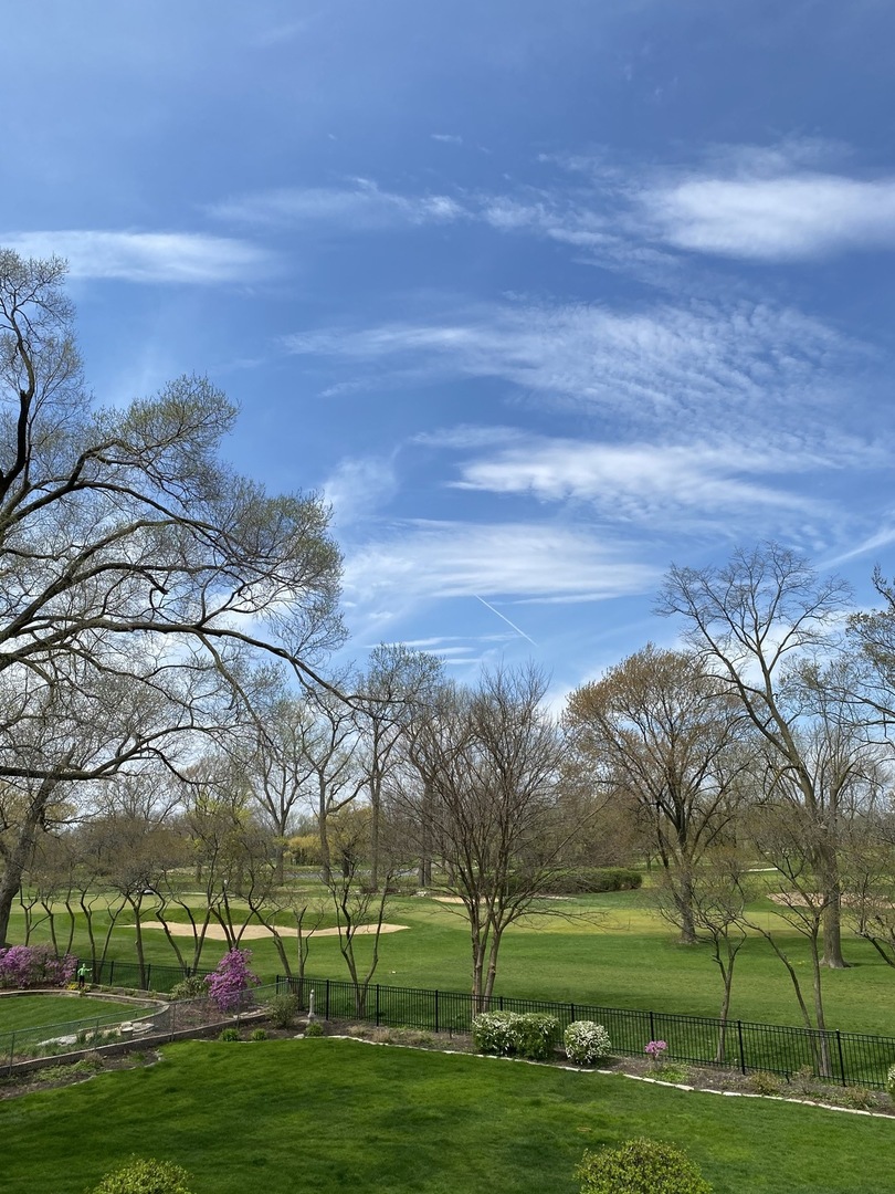 820 Hastings Street Park Ridge, IL 60068 - Photo 42 of 46