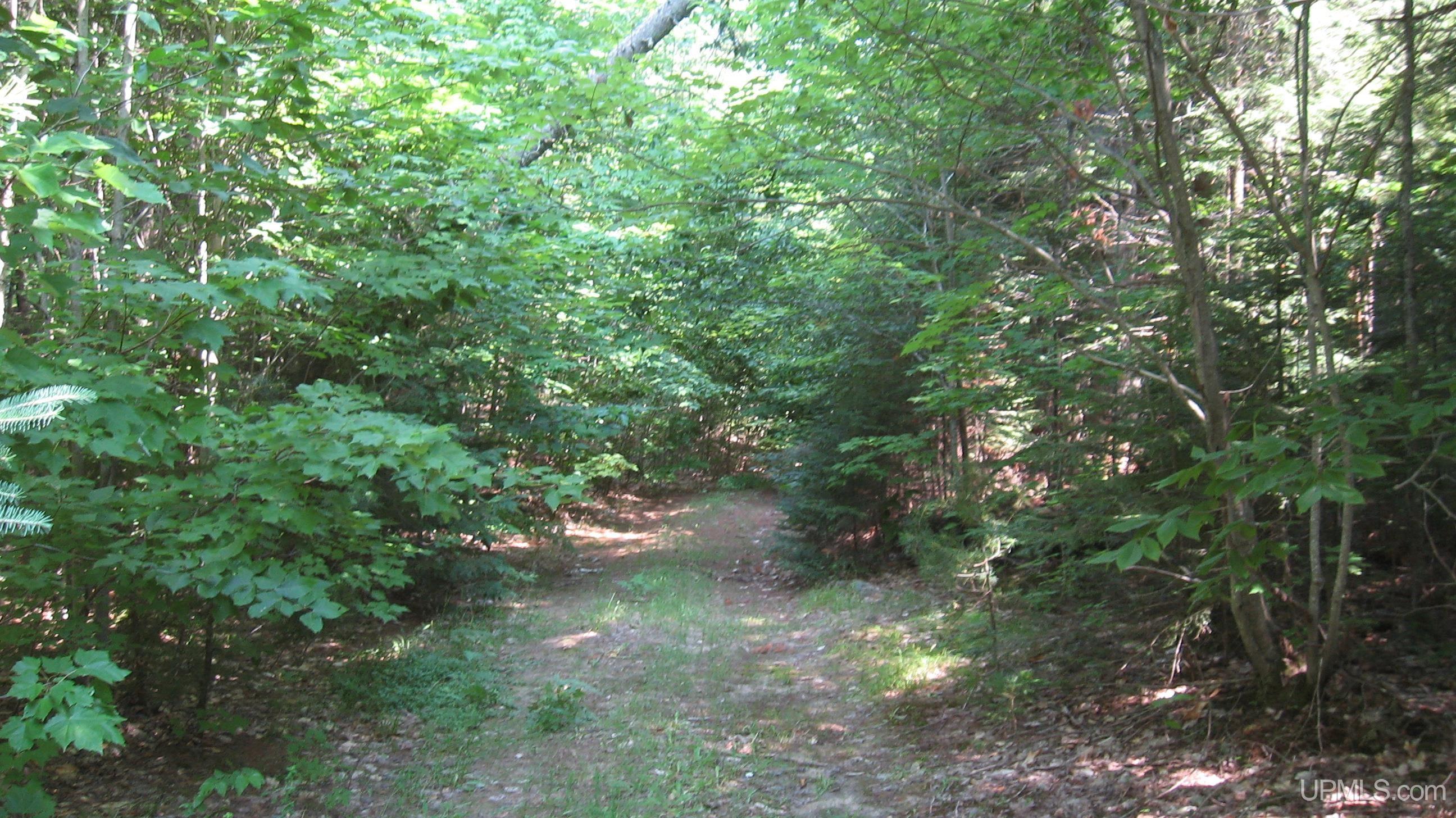 0 Co Road Newberry, MI 49868 - Photo 8 of 12