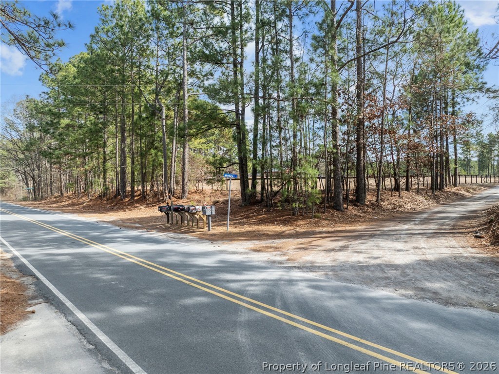 690 Poole Road Raeford, NC 28376 - Photo 11 of 12