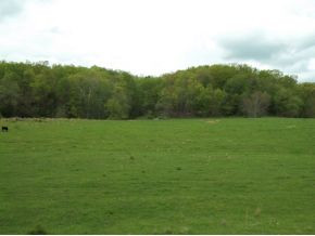 Tbd Henson Road, Unit 19 Bristol, TN 37620 - Photo 1 of 8 Photo 1